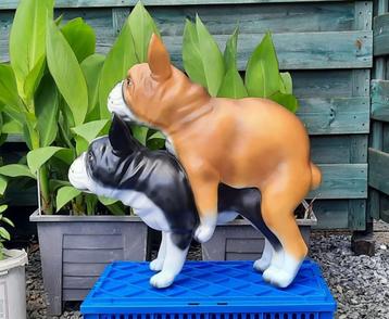 Franse bulldog´s,stoute honden,foei dogs voor in&out,, beschikbaar voor biedingen