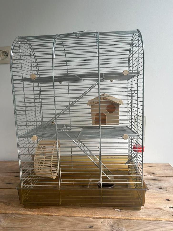 Cage pour hamster à 2 étages FER-PLAST, Animaux & Accessoires, Rongeurs & Lapins | Cages & Clapiers, Utilisé, Cage, Moins de 60 cm