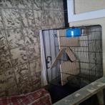 Prachtig hamsterkooitje, Enlèvement, Cage, Moins de 60 cm, Hamster