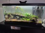 Aquarium complet, Dieren en Toebehoren, Ophalen, Nieuw, Gevuld zoetwateraquarium