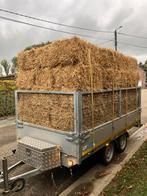 Kleine balen stro, Dieren en Toebehoren, Weidegang, 4 paarden of pony's of meer