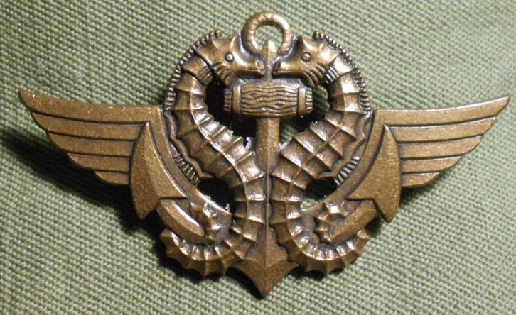 FRANCE / COMMANDO / BREVET DE NAGEUR DE COMBAT., Verzamelen, Militaria | Algemeen, Marine, Embleem of Badge, Verzenden