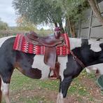 Pools zadel FQ, Dieren en Toebehoren, Ophalen