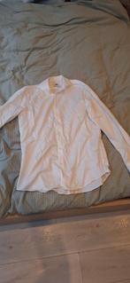 WE shirt, Ophalen, WE, Wit, Halswijdte 41/42 (L)