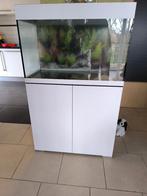 OASE StyleLine 175 aquarium met kast - in wit, Dieren en Toebehoren, Vissen | Aquaria en Toebehoren, Ophalen, Zo goed als nieuw