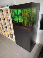 Juwel Lido 200, Dieren en Toebehoren, Ophalen, Gebruikt, Gevuld zoetwateraquarium