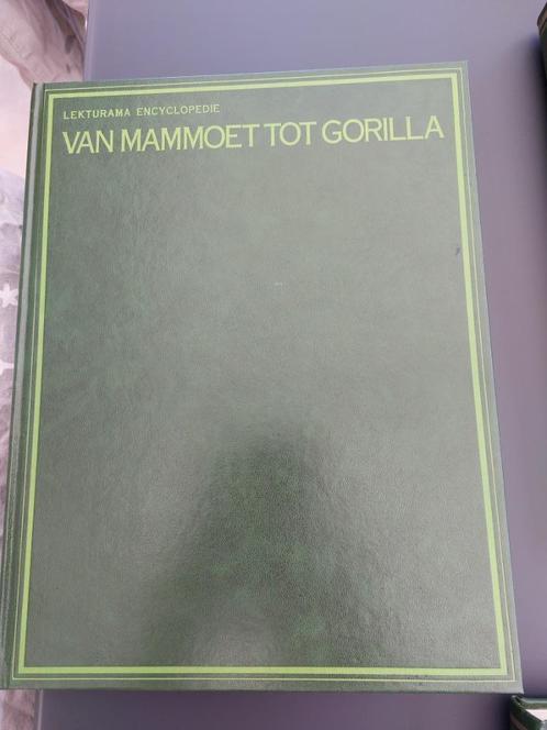 te koop : 3 boeken van lekturama encyclopedie, Boeken, Overige Boeken, Zo goed als nieuw, Ophalen of Verzenden