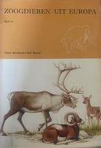 Boeken, Boeken, Artis historia, Overige diersoorten, Ophalen, Gelezen