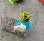 Aquarium te koop, Dieren en Toebehoren, Vissen | Aquaria en Toebehoren, Ophalen, Zo goed als nieuw