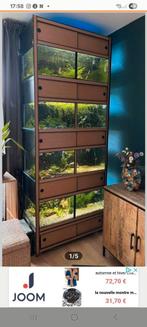 Hobbykweker verkoopt zijn volledige aquariums en vissen, Enlèvement, Comme neuf