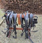Tweespan ponytuig ideal, Ophalen, Zo goed als nieuw, Recreatie