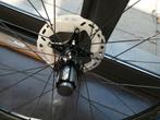 Roue fulcrum Wind55 DB neuve, Neuf, Fulcrum, Vélo de course, Enlèvement