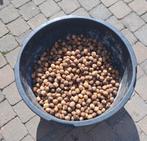 Verse okkernoten te koop, Diversen, Ophalen