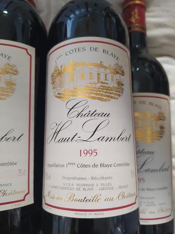 Excellent vin du Château Haut Lambert de 1995