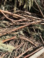 GRATIS brandhout / takken, Tuin en Terras, Brandhout, Ophalen, Overige houtsoorten, Takken