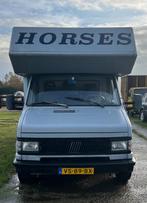 2 paard paardenwagen B rijbewijs, 2-paards trailer, Ophalen of Verzenden