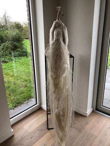 Paon blanc en peluche à vendre, Enlèvement ou Envoi