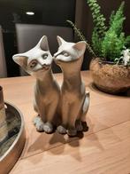 Mooie decoratieve poezen, Ophalen