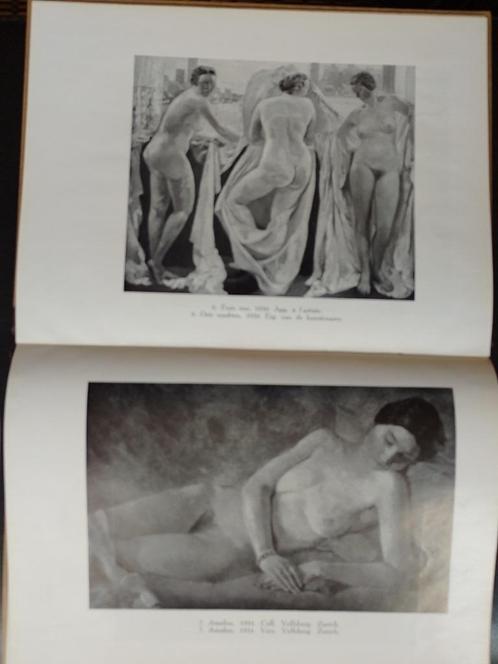 Marie Howet  1  1897 - 1984   Monografie, Boeken, Kunst en Cultuur | Beeldend, Nieuw, Schilder- en Tekenkunst, Verzenden