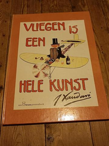 Vliegen is een hele kunst  beschikbaar voor biedingen