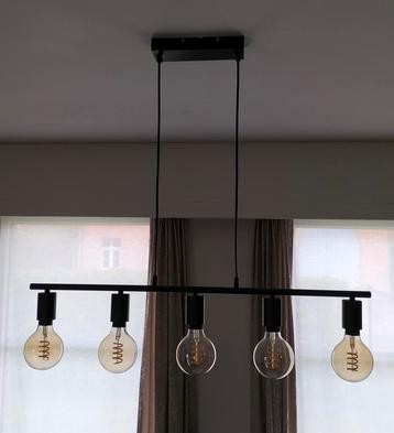 Moderne hanglamp met of zonder lampen te verkrijgen  beschikbaar voor biedingen