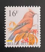 België: OBP 2534 ** Vogels 1994., Postzegels en Munten, Frankeerzegel, Ophalen of Verzenden, Zonder stempel, Postfris