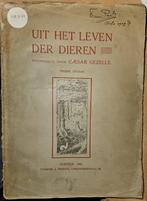Uit het leven der dieren, Boeken, Dieren en Huisdieren, Gelezen, Gezelle Caesar, Ophalen of Verzenden, Overige diersoorten
