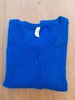 CKS - Trui/Vestje - meisje 10 jaar, Kinderen en Baby's, Meisje, Ophalen of Verzenden, Zo goed als nieuw, Trui of Vest