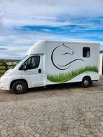 Camion chevaux Peugeot Boxer Theault 2.2l, Dieren en Toebehoren, Paarden en Pony's | Trailers en Aanhangwagens, Ophalen of Verzenden