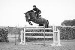 Springgerichte paarden te koop, Dieren en Toebehoren, Paarden