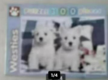 Puzzle chiots / chien 300 pièces NEUF beschikbaar voor biedingen