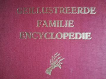 Vintage boek Geïllustreerde familie encyclopedie Familia
