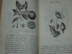 1869 Nouvelle Médecine des familles A de Saint-Vincent Paris, Ophalen of Verzenden