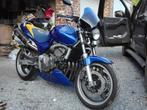 HONDA HORNET 600, Motos, Motos | Honda, Naked bike, 600 cm³, 4 cylindres, Particulier