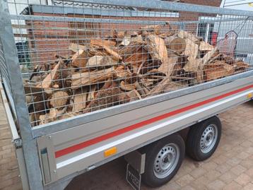 3 cuub kurk droog brandhout  beschikbaar voor biedingen