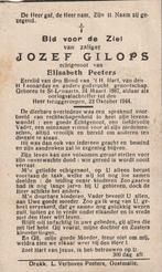 Oorlogsslachtoffer 1940-1945 Joze Gilops St Lenaarts, Ophalen