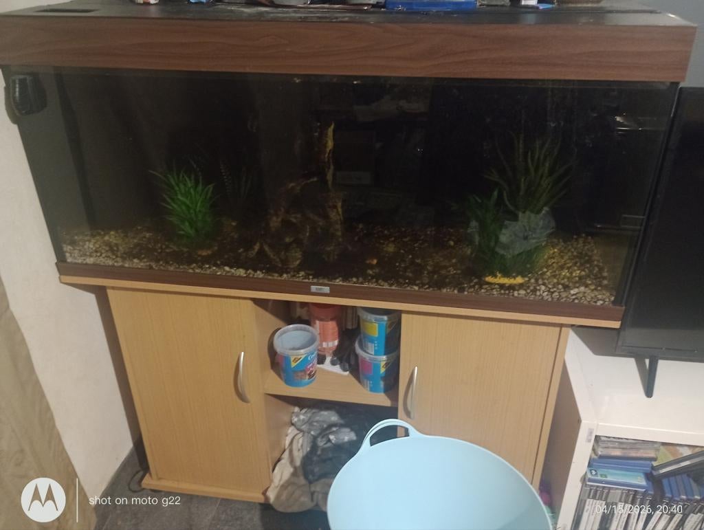 Aquarium juwel rio 240 liter, Enlèvement