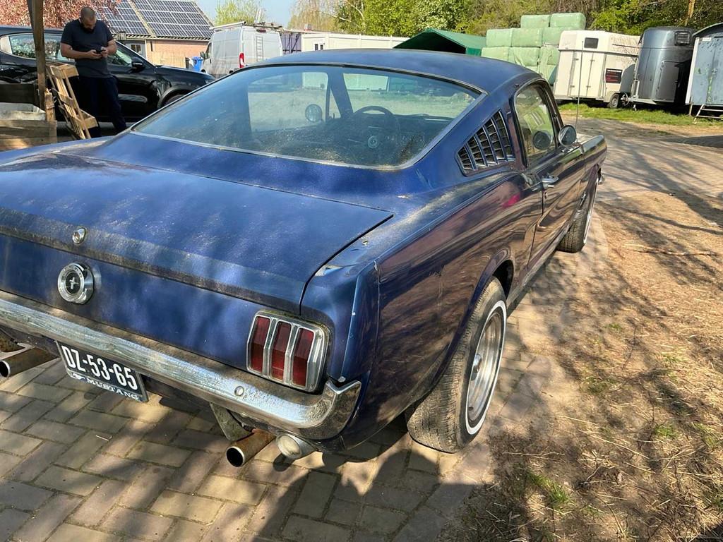 Voiture particulière Ford MUSTANG Fastback de 1966, Autos, Achat, Entreprise, Cabriolet, Boîte manuelle