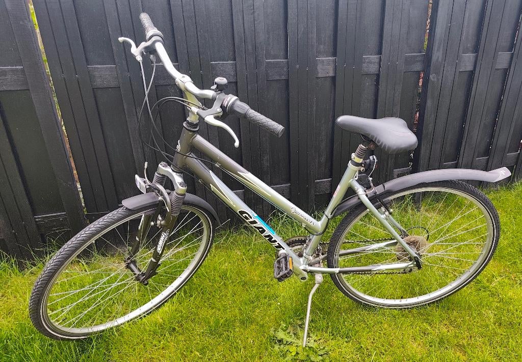 Giant damesfiets, Ophalen, Velgrem, Giant, Versnellingen