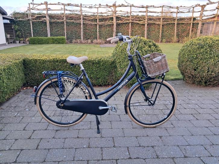Cortina Roots (U4/U5) moeder-of transportfiets 57 cm NIEUW, Fietsen en Brommers, Fietsen | Dames | Damesfietsen, Nieuw, Overige merken