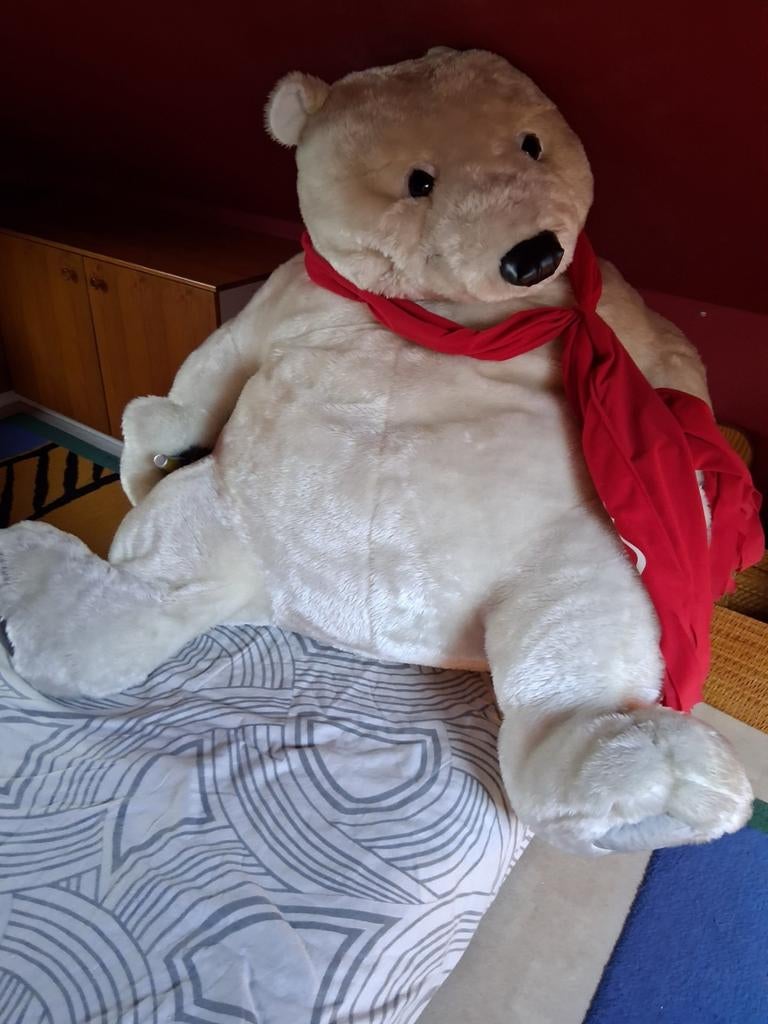 Zeer grote beer Coca-Cola, Ophalen