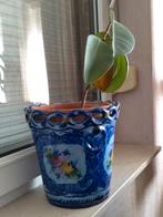 bloempot blauw wit cachepot, Tuin en Terras, Ophalen of Verzenden, Zo goed als nieuw
