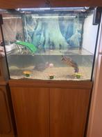 Aguarıum alles lido 200 LED 71/51/61 Juwel, Dieren en Toebehoren, Ophalen of Verzenden, Zo goed als nieuw