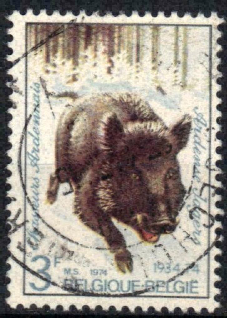 Belgie 1974 - Yvert 1732/OBP 1733 - Ardense Jagers (ST), Postzegels en Munten, Postzegels | Europa | België, Gestempeld, Gestempeld