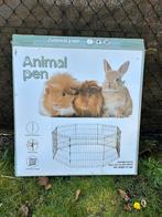 Konijnenren, Dieren en Toebehoren, Konijnen, Meerdere dieren, Middelgroot