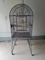 Papegaaien kooi te koop, Dieren en Toebehoren, Vogels | Hokken en Kooien, Ophalen