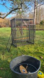 Vogelkooi, volière (parkieten valkparkieten papegaai, Enlèvement, Cage à oiseaux