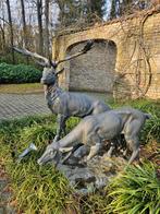 BRONZEN PRACHTIG KOPPEL HERTEN, MAKEN DE TUIN MAAR MOOIER!!!, Ophalen of Verzenden, Zo goed als nieuw, Overige materialen, Dierenbeeld