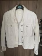 Wit jeansjas je 12j, Kleding | Dames, Jasjes, Kostuums en Pakken, Ophalen, Wit