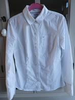 Katoenen dameshemd Tommy Hilfiger, Tommy hilfiger, Taille 36 (S), Comme neuf, Enlèvement